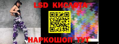 PSILOCYBIN Кулебаки
